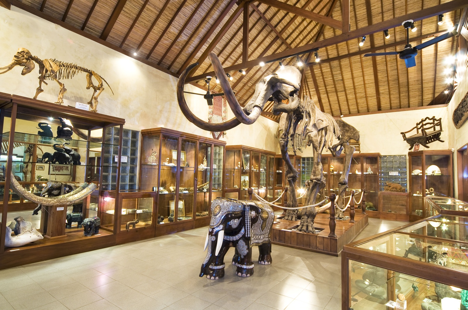 museum in safari park
